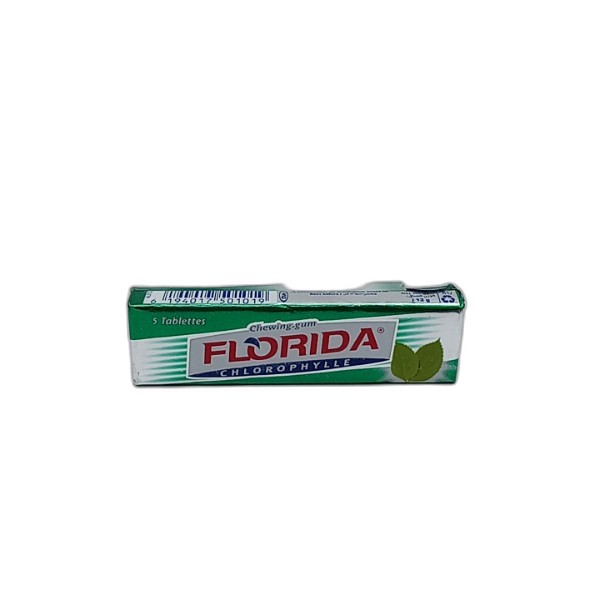 GUM SPEARMINT 12.5G FLORIDA