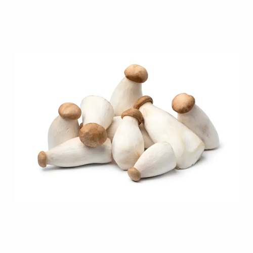 KING OYSTER MUSHROOM 250G SUNF