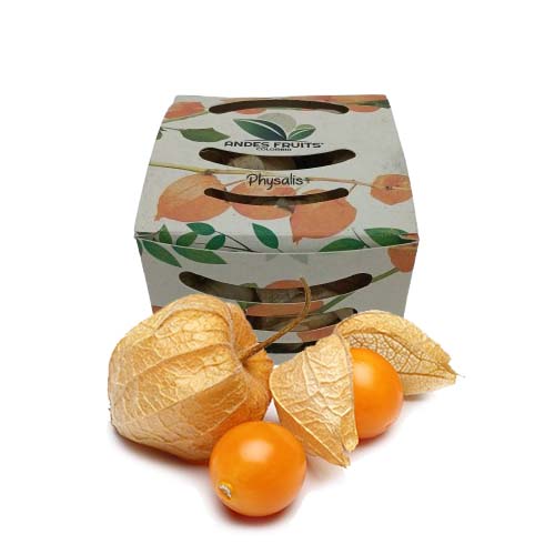 PHYSALIS 100G