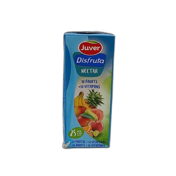 JUVER DISFRUTA 10 FRUITS JUICE 200ML
