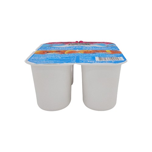 GOODBURRY YOGURT MIXED FRUIT 4PCS 125G