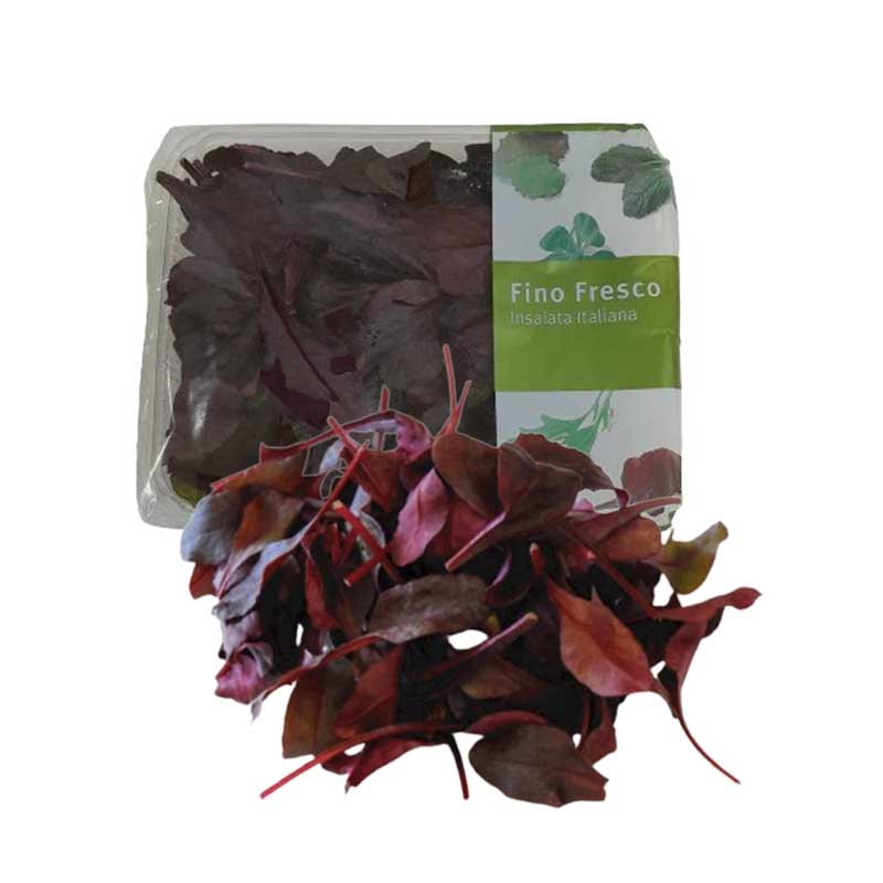 BULLS BLOOD LETTUCE 125G