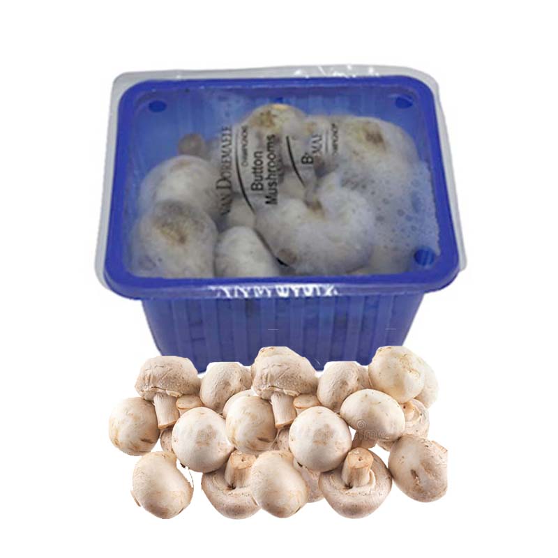SMALL BUTTON MUSHROOMS
